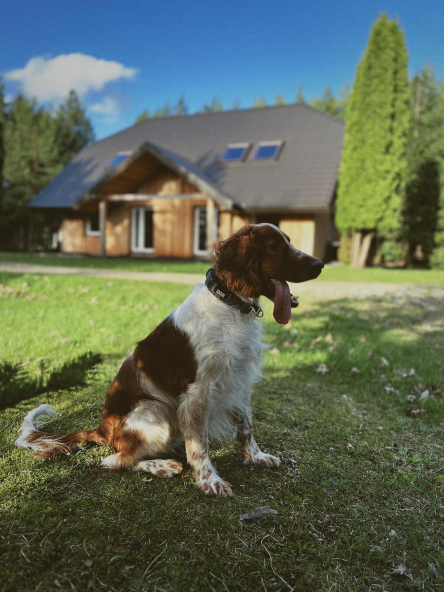 Pakaso Sodyba Kirdeikiai Exteriér fotografie
